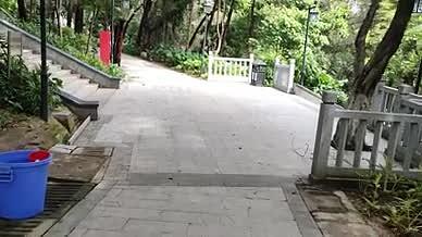 旅行拍摄公园台阶石道视频的预览图